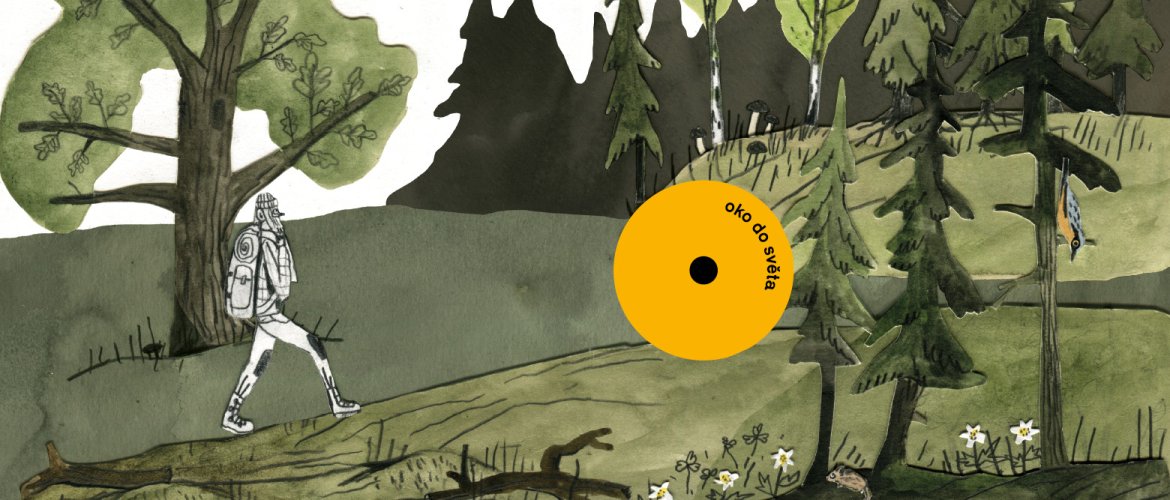Ilustrace z knihy Rufus zálesák