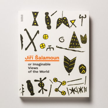 Jiří Šalamoun or Imaginable Views of the World
