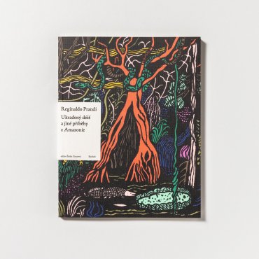 Ukradeny dest_cover