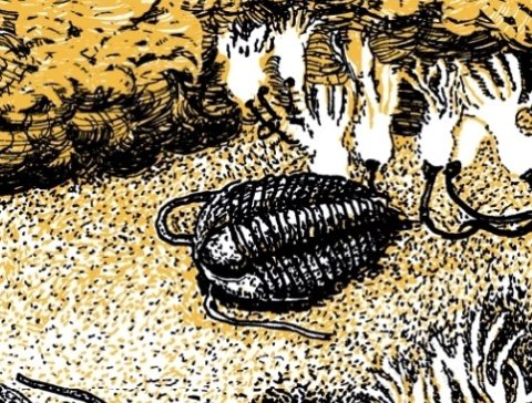 trilobit