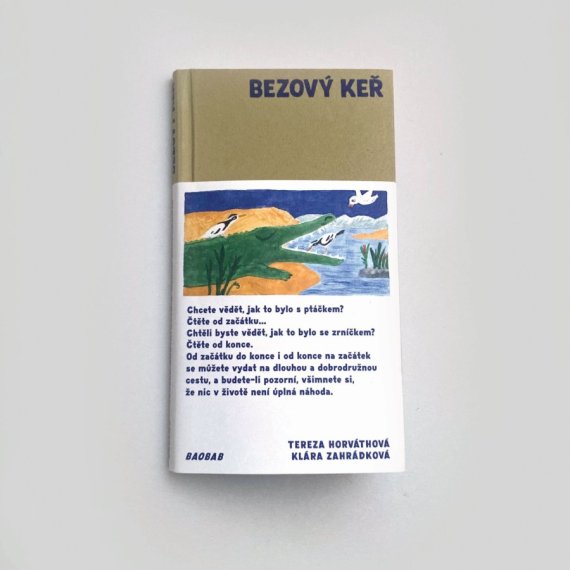 Obálka knihy Bezový keř.