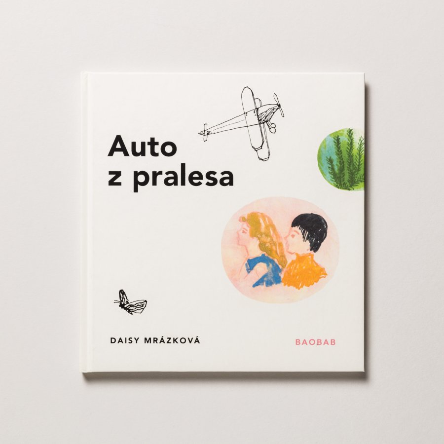 Auto z pralesa