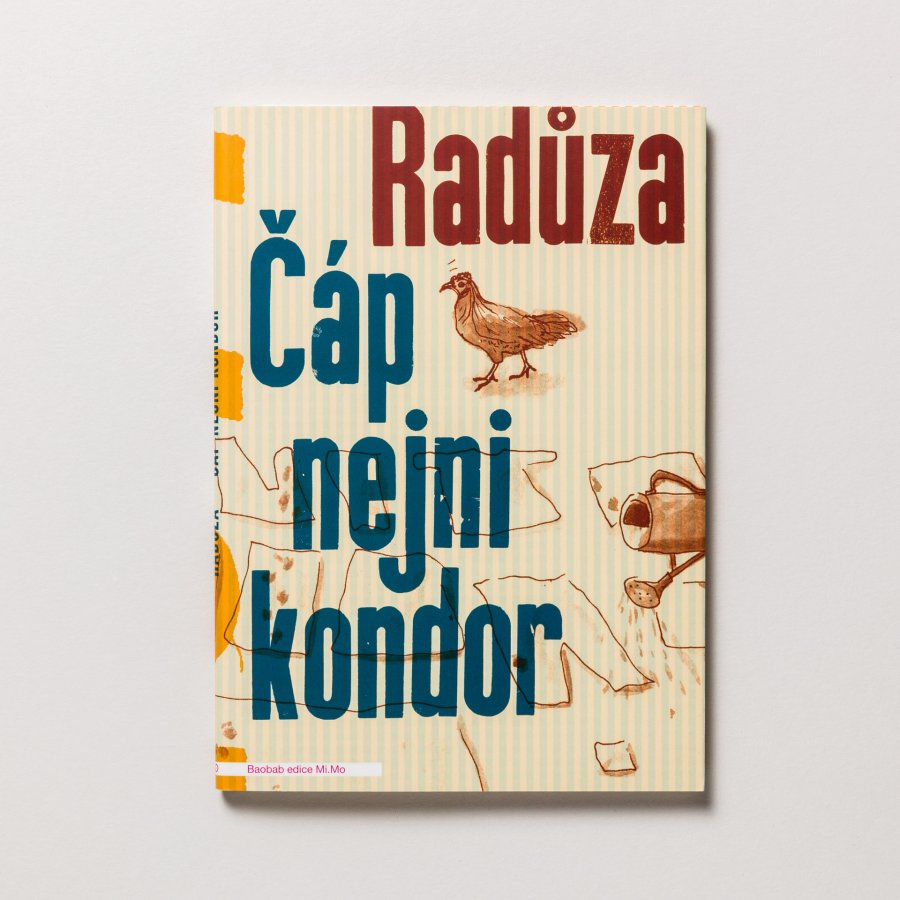 Čáp nejni kondor