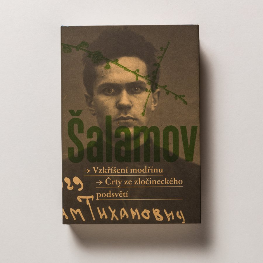 Vzkříšení modřínu