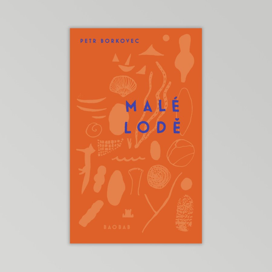 Malé lodě_cover